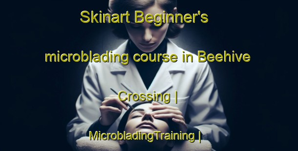 Skinart Beginner's microblading course in Beehive Crossing | MicrobladingTraining | MicrobladingClasses | SkinartTraining-United States